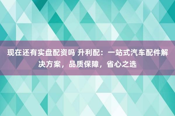 现在还有实盘配资吗 升利配：一站式汽车配件解决方案，品质保障，省心之选