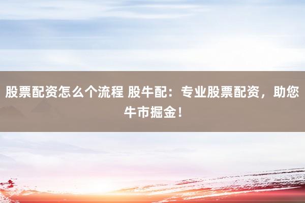 股票配资怎么个流程 股牛配：专业股票配资，助您牛市掘金！