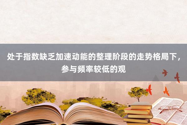 处于指数缺乏加速动能的整理阶段的走势格局下，参与频率较低的观