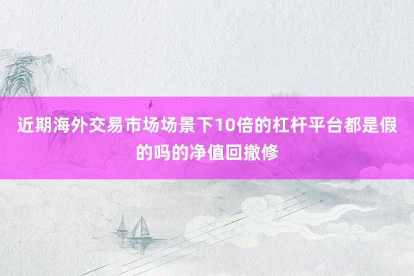 近期海外交易市场场景下10倍的杠杆平台都是假的吗的净值回撤修