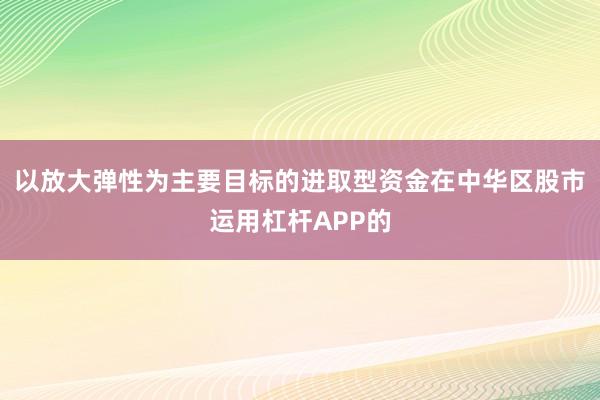 以放大弹性为主要目标的进取型资金在中华区股市运用杠杆APP的