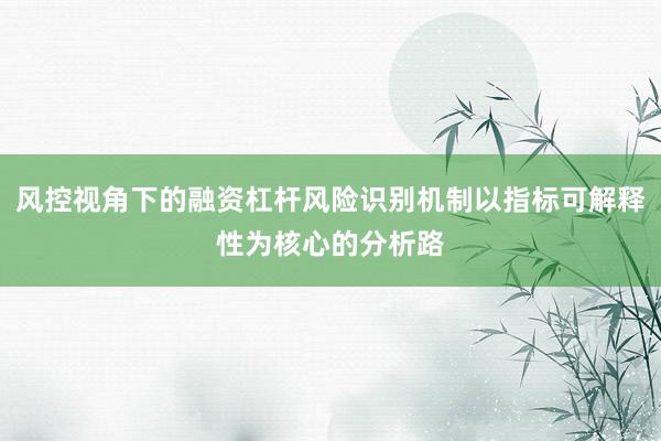 风控视角下的融资杠杆风险识别机制以指标可解释性为核心的分析路