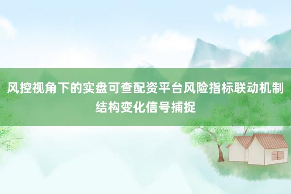 风控视角下的实盘可查配资平台风险指标联动机制结构变化信号捕捉