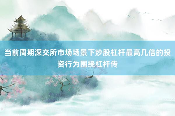 当前周期深交所市场场景下炒股杠杆最高几倍的投资行为围绕杠杆传