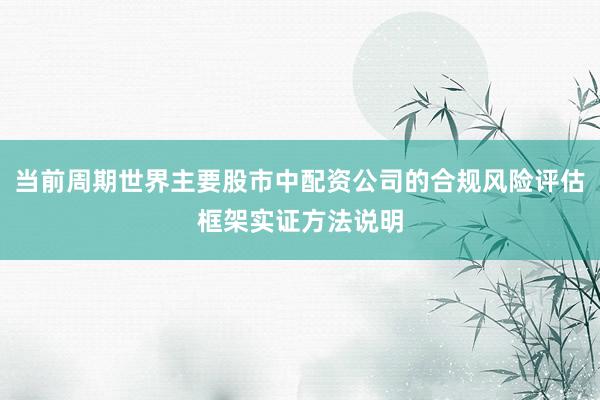 当前周期世界主要股市中配资公司的合规风险评估框架实证方法说明