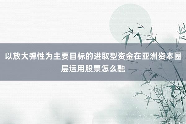 以放大弹性为主要目标的进取型资金在亚洲资本圈层运用股票怎么融