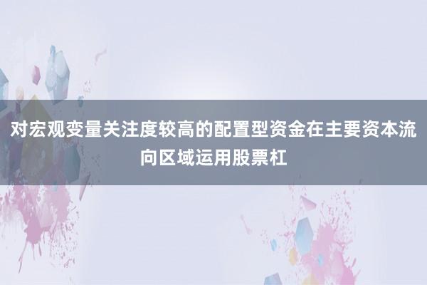 对宏观变量关注度较高的配置型资金在主要资本流向区域运用股票杠