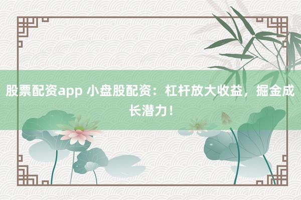 股票配资app 小盘股配资：杠杆放大收益，掘金成长潜力！
